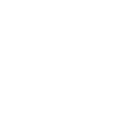 polo brand logo
